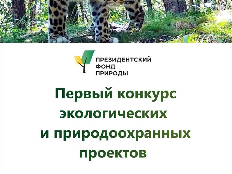 Заканчивается прием заявок на конкурс