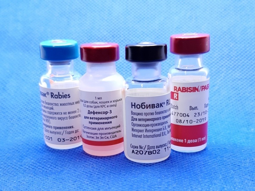 ОБЪЯВЛЕНИЕ