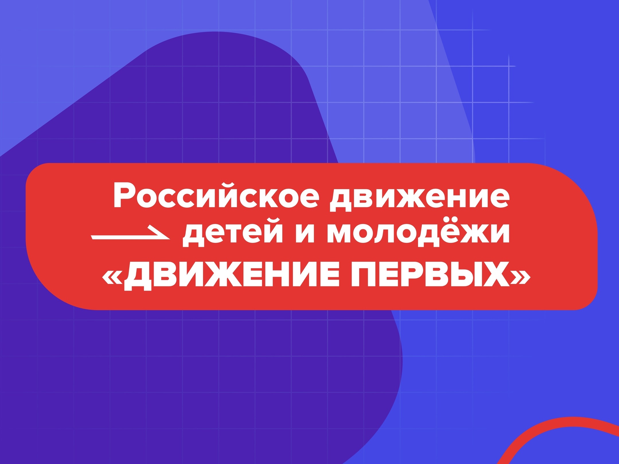 Участники "Движения первых" пробовали себя в различных профессиях