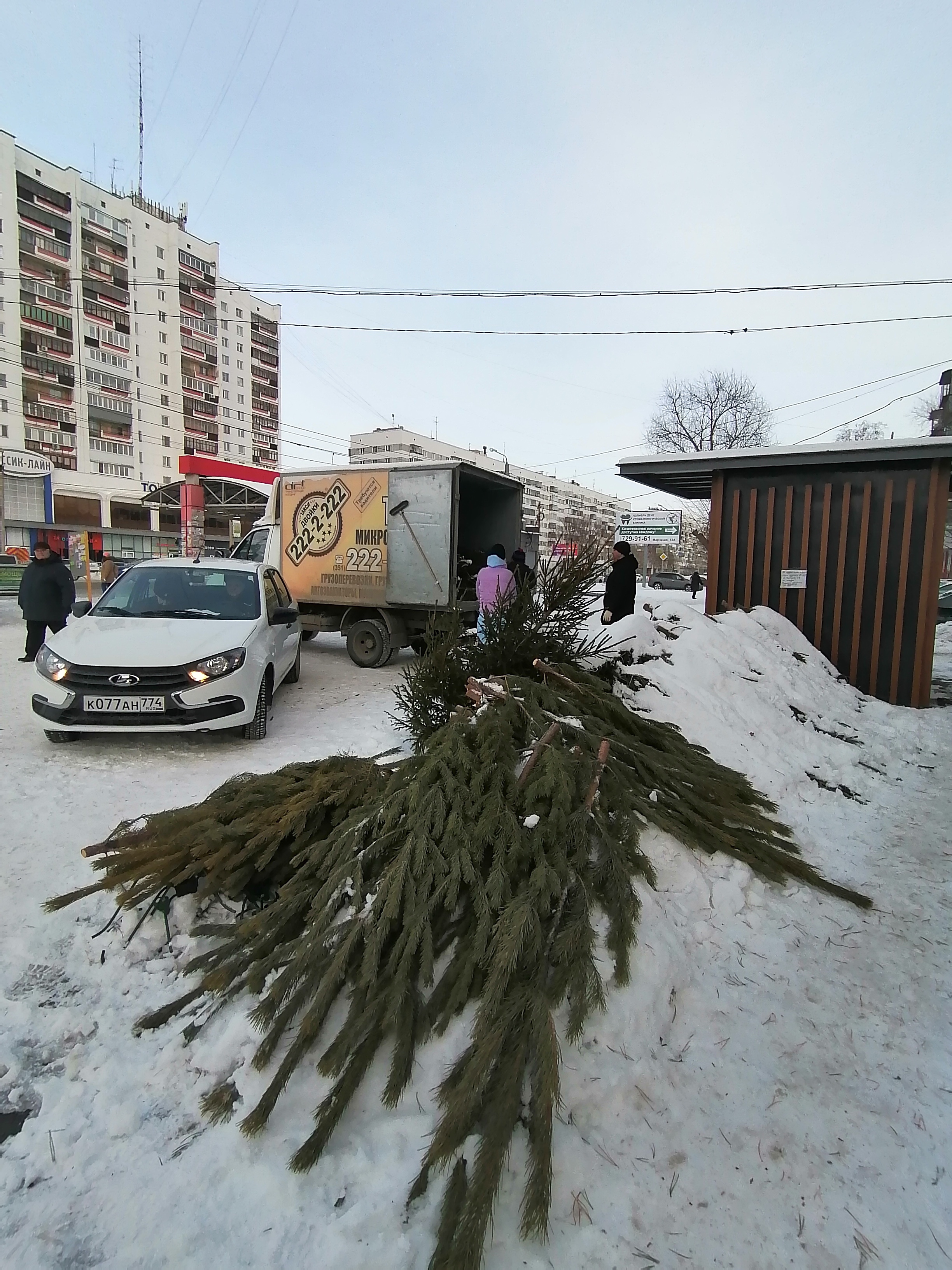 Рейды по пресечению несанкционированной торговли хвойными деревьями и букетами